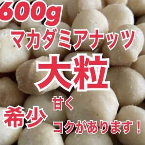 大粒 マカダミアナッツ 600g 素焼き 無塩 健康 美容  ナッツ 非常食 美容の画像1