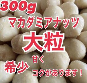 大粒　マカダミアナッツ　300g 素焼き　無塩　美容　送料無料　ナッツ　非常食