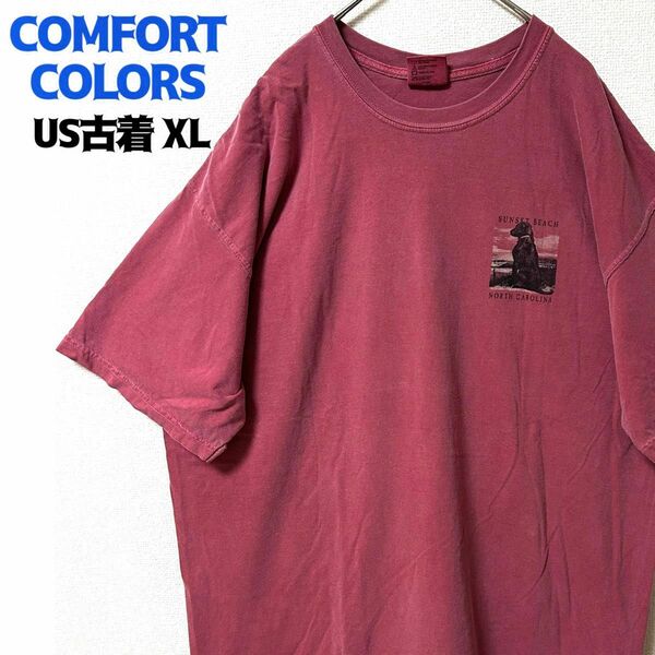 US古着 COMFORT COLORS 半袖プリントTシャツ アニマル XL コスモスカラー