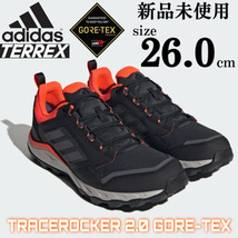 新品未使用 26.0cm GORE-TEX adidas TERREX アディダス テレックス トレースロッカー 2 ゴアテックス GTX 登山 トレイル ハイキング 箱無し_画像1