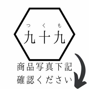 【九】常滑焼 二代 間野舜園 朱泥 茶注 急須 茶道具 共箱・共布付★未使用の画像2