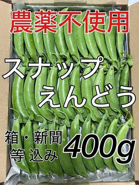 農薬不使用　野菜　野菜詰め合わせ　スナップエンドウ　スナップえんどう　えんどう　エンドウ　えんどう豆