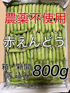 実えんどう　グリーンピース　えんどう　エンドウ　えんどう豆　エンドウ豆　野菜　赤えんどう　赤エンドウ