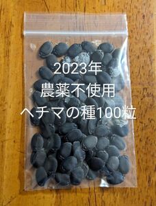 農薬不使用ヘチマの種100粒