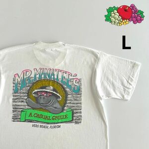 フルーツオブザルーム 古着 Tシャツ 90s L ビンテージ ホワイト 白 ヴィンテージ