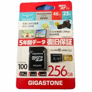 マイクロソフト　256GB GIGASTONE