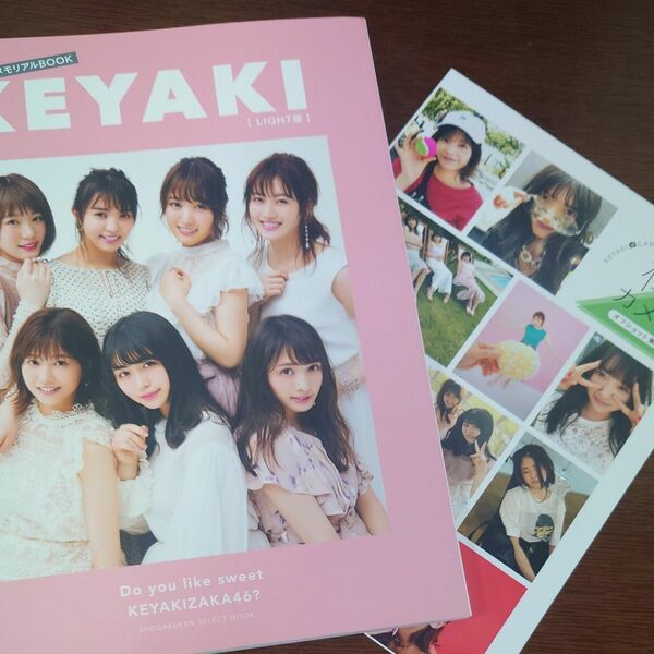 KEYAKI 〜2018 Summer ツアーメモリアルBOOK〜 【LIGHT版】 欅坂46 〔ムック〕