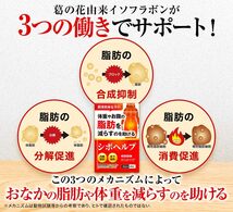 ◆賞味期限 2025.11 送料無料 ダイエット サプリ ダイエットサプリ 内臓脂肪 皮下脂肪 シボヘルシ シボヘルプ 葛の花配合 30日分_画像2