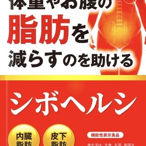 ◆賞味期限 2025.11 送料無料 ダイエット サプリ ダイエットサプリ 内臓脂肪 皮下脂肪 シボヘルシ シボヘルプ 葛の花配合 30日分の画像1