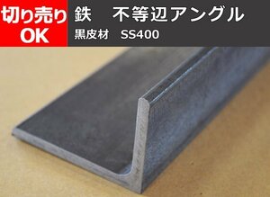 鉄製 不等辺アングルＬ形材(材質SS400) 寸法 切り売り 小口 販売加工 F40