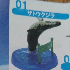 匿名配送　もうひとつのアクアリウム　フィギュアコレクション　かごしま水族館　ガチャ　鹿児島水族館　いおワールド　ザトウクジラ