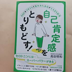 高田明和　自己肯定感をとりもどす！　敏感すぎて苦しい　HSP　プチうつ　繊細　発達障害　2023年発行