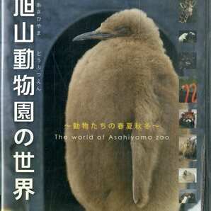G00030995/DVD/「旭山動物園の世界 ～動物たちの春夏秋冬～」の画像1