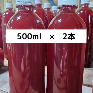 PSB【500ml×2本】光合成細菌 メダカ めだか 水質 バクテリア