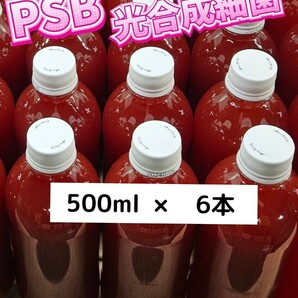 PSB【500ml×6本】光合成細菌 メダカ 水質 バクテリア エサ