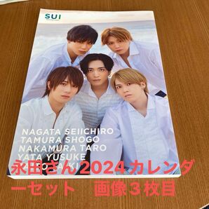 SUI PHOTO BOOK in HAWAII 永田さんのカレンダーとセット販売です。未読　即購入　即日発送