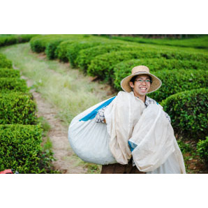 自然栽培 ほうじ茶(100g)★奈良県の誇り高き大和茶★無肥料・無農薬★無添加★麗しく大きく育った茶葉を薪の火で炒り上げ仕上げました♪ の画像7