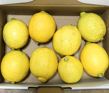 自然栽培 レモン(1kg)★広島県産★安心安全の完全無農薬・無肥料の究極の自然農法★大地の力を感じられ、自然の恵みが詰まっています♪_画像1