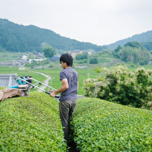 自然栽培 ほうじ茶(100g)★奈良県の誇り高き大和茶★無肥料・無農薬★無添加★麗しく大きく育った茶葉を薪の火で炒り上げ仕上げました♪ の画像8