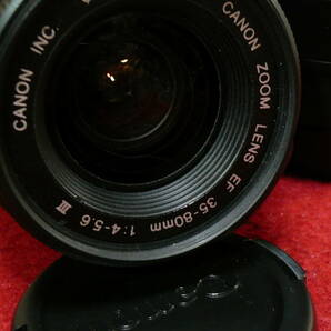 CANON EOS Kiss X2+レンズ2本(80+300mm)の中古品 (2870ショット) 全て揃って届いたらすぐに使えますの画像9