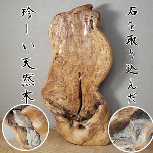 石を取り込んだ珍しい天然木 天然木置物 流木置物 天然木 自然木 置物 オブジェ インテリア 流木 レトロ アンティーク 飾り物 【140i3773】