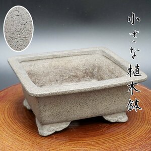 植木鉢 盆栽鉢 小鉢 鉢 豆鉢 品鉢 ガーデニング　陶器 玄関 庭 ディスプレイ 飾り 小道具 古道具【60i3856】