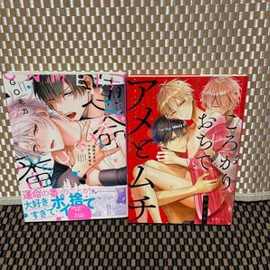 GO毛力【運命すぎてつがえません】【ころがりおちてアメとムチ】セット売り (393)