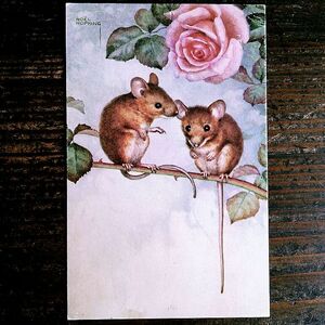 Noel Hopking (13)◆N12 動物 薔薇 子供 イラスト アンティークポストカード ビンテージ 外国絵葉書イギリス
