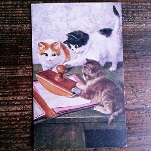 猫(5) R51◆アンティークポストカード フランス ドイツ ベルギー イタリア イギリス ネコ ねこ 子猫 外国絵葉書