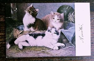 猫(1) R51◆アンティークポストカード フランス ドイツ ベルギー イタリア イギリス ネコ ねこ 子猫 外国絵葉書
