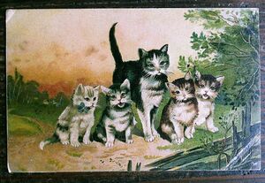 猫(15) R51◆アンティークポストカード フランス ドイツ ベルギー イタリア イギリス ネコ ねこ 子猫 外国絵葉書