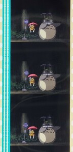 となりのトトロ 35mm　フィルム　スタジオジブリ　MY NEIGHBOR TOTORO　トトロジャンプ