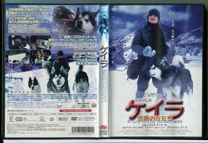 ケイラ 雪原の友だち/DVD レンタル落ち/トッド・フェンネル/ヘンリー・ツェーニー/c1628