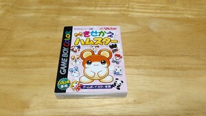 ★GBC「きせかえハムスター」箱・取説・ハガキ・チラシ付き/Victor/ゲームボーイカラー/GAMEBOY COLOR/ADV/アドベンチャー/レトロゲーム★