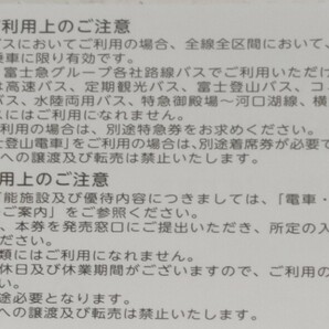 富士急行 株主優待 電車・バス・観光施設共通優待券 10枚セット 富士急ハイランドフリーパス2名様分の画像3