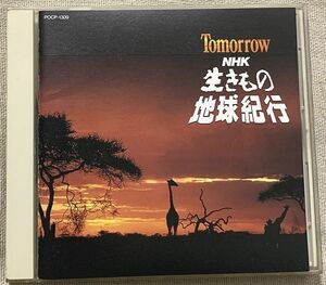 CD 杉本竜一 TOMORROW -NHK生きもの地球紀行- サウンドトラック 立花優 POCP-1309 背に退色