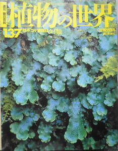 植物の世界　週刊朝日百科　コケ植物2/タイ類　平成8年12/8第137号　w