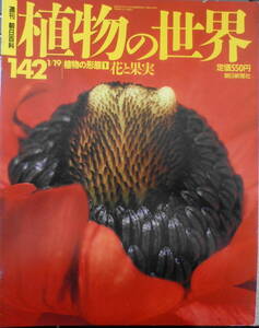 植物の世界　週刊朝日百科　植物の形態1/花と果実　平成9年1/19第142号　q