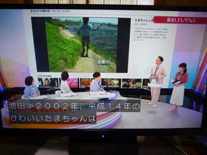 フナイ32インチ地デジ液晶テレビ（FL-32H1010)19年製