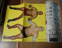 月刊ゴング★1972年2月号★プロレス雑誌★ピンナップ_画像2