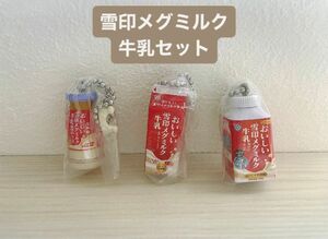 雪印メグミルク ミニチュアチャーム 乳飲料＆ヨーグルトシリーズ ◎牛乳セット◎