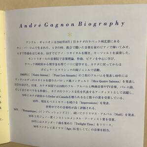 送料無料 フジテレビ系 ドラマ オリジナル サウンドトラック「Age,35 恋しくて」アンドレ ギャニオンの画像8