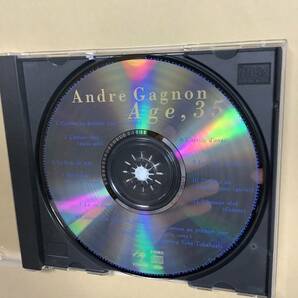 送料無料 フジテレビ系 ドラマ オリジナル サウンドトラック「Age,35 恋しくて」アンドレ ギャニオンの画像9