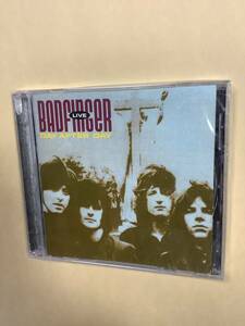 バッドフィンガー BADFINGER DAY AFTER DAY