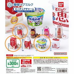 雪印メグミルク ミニチュアチャーム 乳飲料＆ヨーグルトシリーズ　ガチャ