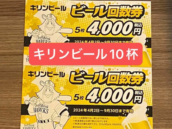 福岡ソフトバンクホークス 福岡PayPayドーム キリンビール回数券10枚セット 売り子 一番搾り キリンラガー ハイネケン