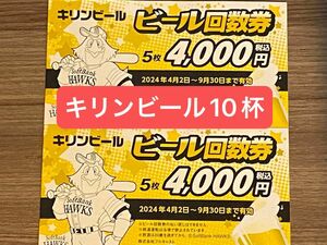 福岡ソフトバンクホークス 福岡PayPayドーム キリンビール回数券10枚セット 売り子 一番搾り キリンラガー ハイネケン