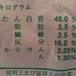 送料無料 1kg 1mm エサ 稚魚 らんちゅう 魚粉67%上級グレード ランチュウの画像5