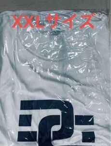 【希少xxl】デジーノ DESIGNO DG Tシャツ ホワイト 白 レーベン