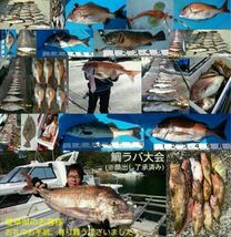 【鯛ラバ】魚眼ケイムラ＋オーロラver. タイラバ3本セット　様々な海域で多数の釣果報告を頂いております！_画像4